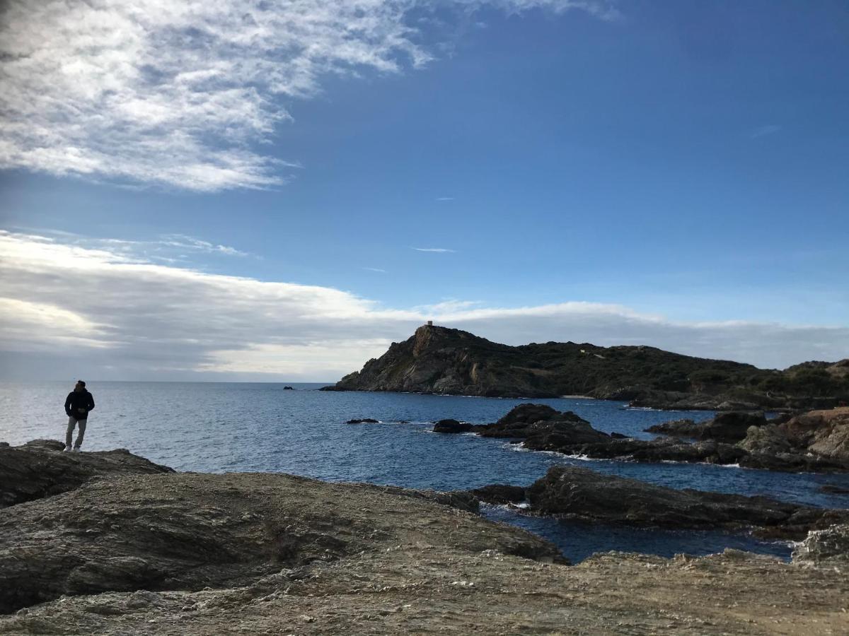锡富尔勒普拉日T2 Les Pieds Dans L Eau Vue Mer公寓 外观 照片