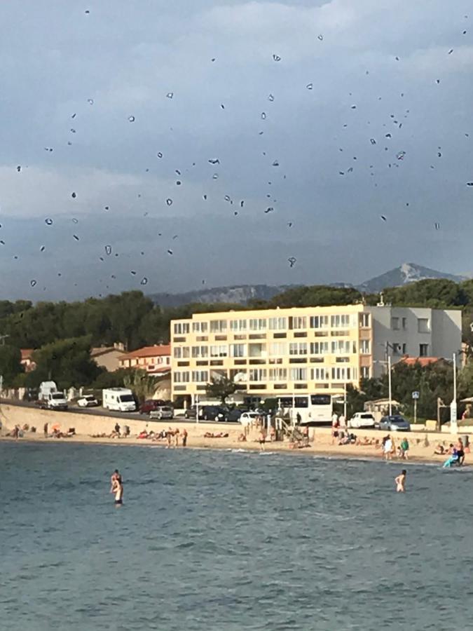 锡富尔勒普拉日T2 Les Pieds Dans L Eau Vue Mer公寓 外观 照片